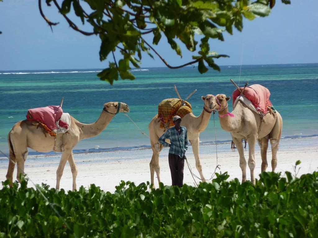 Lantana Galu Beach Diani Beach Exterior foto