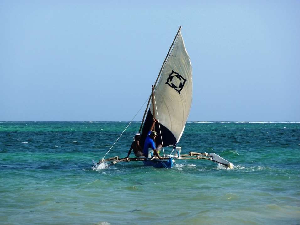 Lantana Galu Beach Diani Beach Natur foto